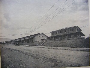 biblioteca 305 copy.jpg